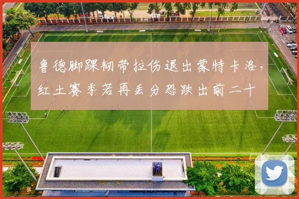 鲁德脚踝韧带拉伤退出蒙特卡洛,红土赛季若再丢分恐跌出前二十