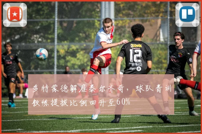 多特蒙德解雇泰尔齐奇,球队青训教练提拔比例回升至60%